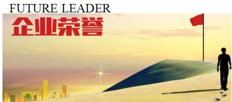 企業(yè)榮譽(yù)